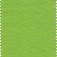 FRISK PUST: Pantone 15-0343 Greenery er en forfriskende grønnfarge som signaliserer håp og forventninger.
