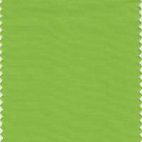 <b>FRISK PUST:</b> Pantone 15-0343 Greenery er en forfriskende grønnfarge som signaliserer håp og forventninger.