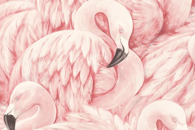 Rosa flamingoer på tapet