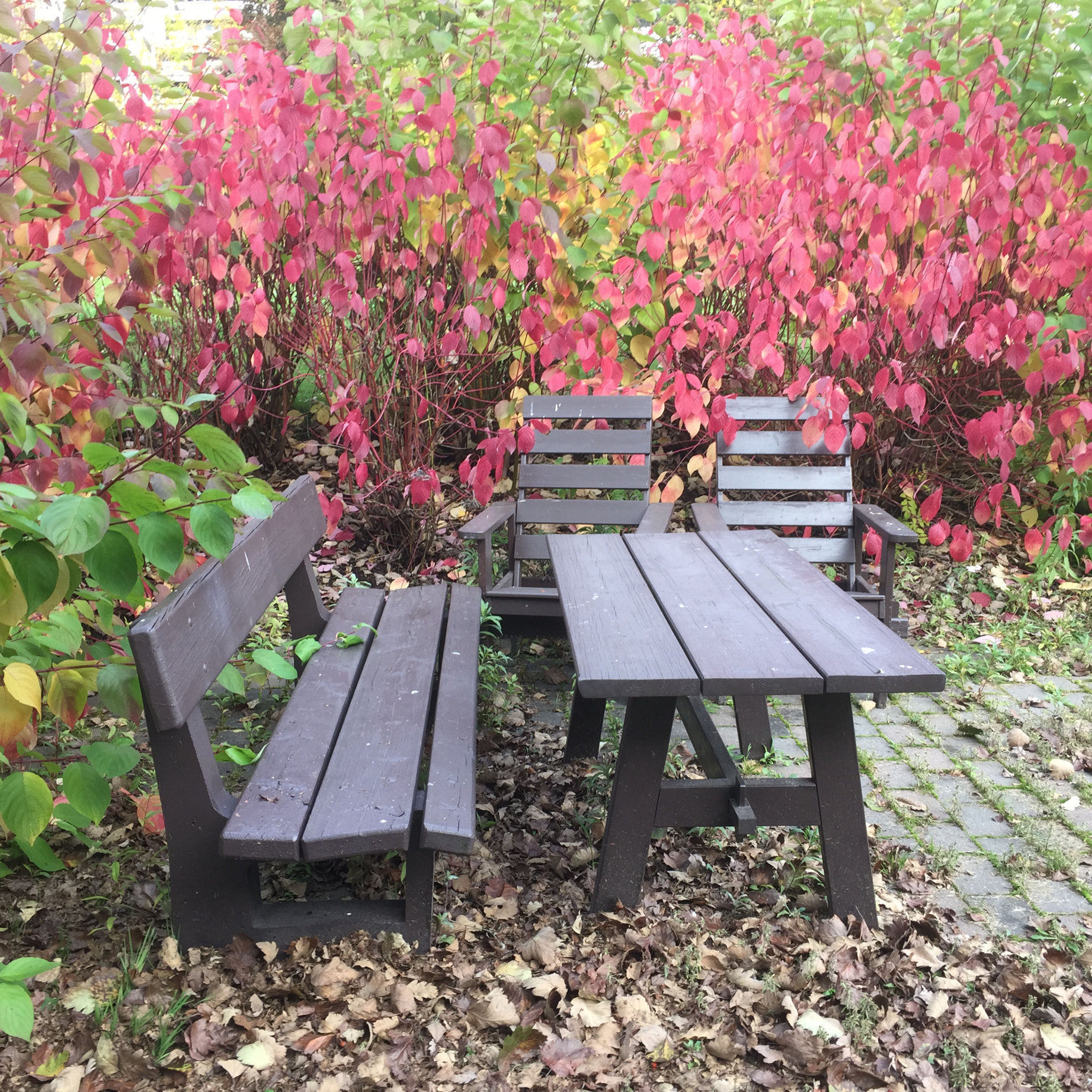 Sjekk om hagemøblene trenger pleie før de settes bort. En vask bør de få uansett.