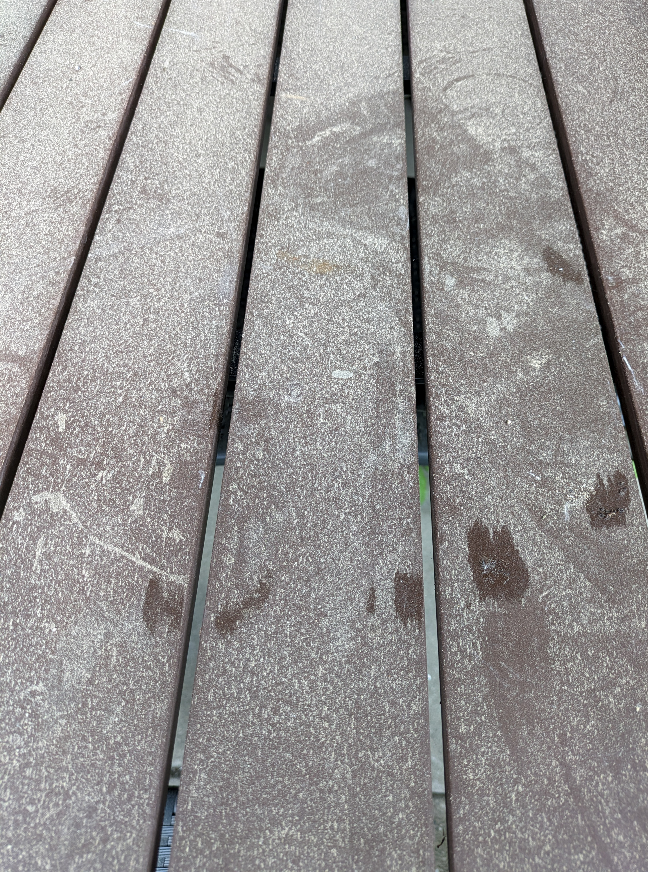 pollen på overflate