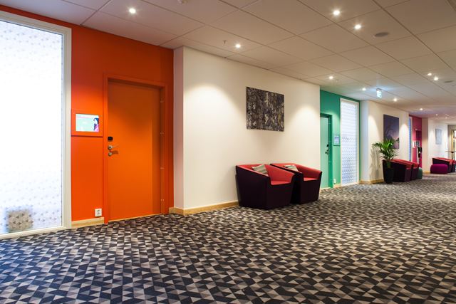 Møterommene som har fått navn etter norske treslag, er dekorert i ulike farger både utvendig og innvendig. Farger som går mye igjen i hotellet er oransje, grønt, rosa og blått.