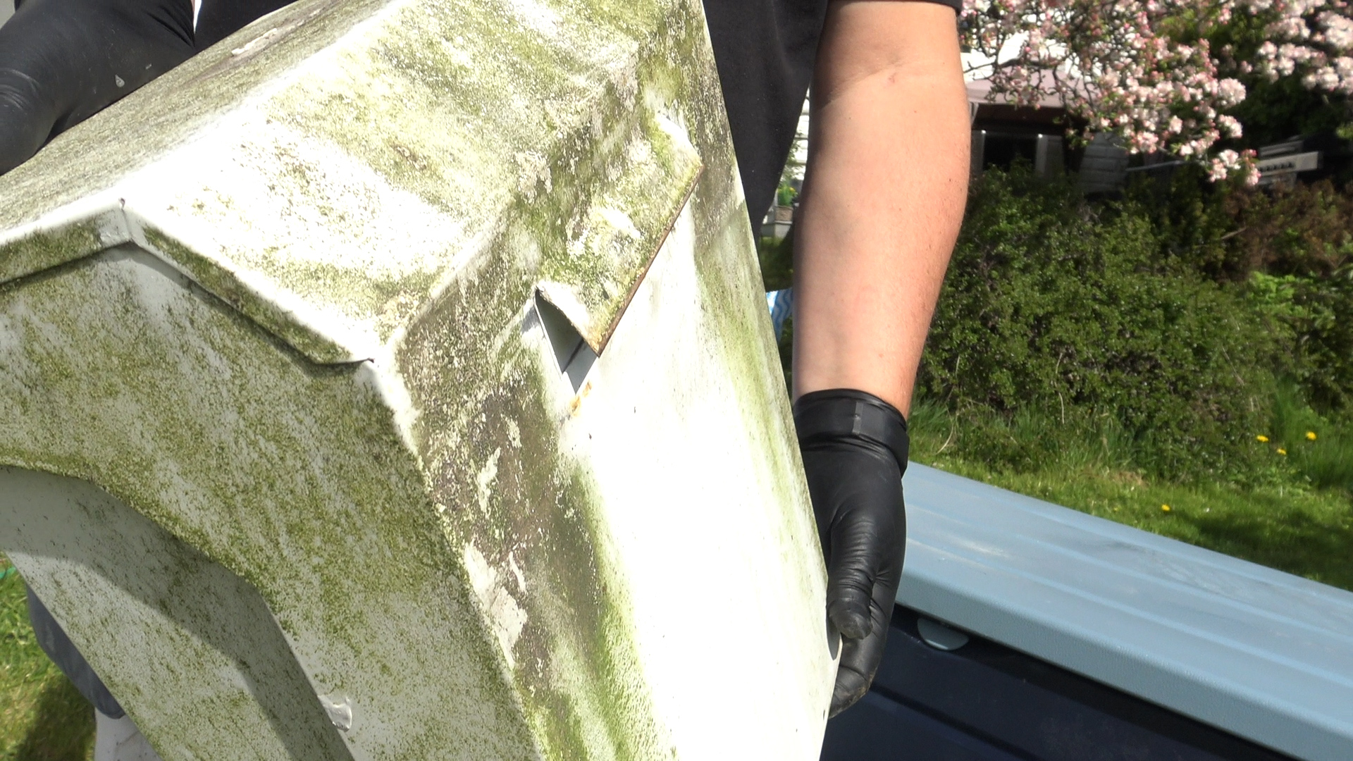 postkasse med grønske