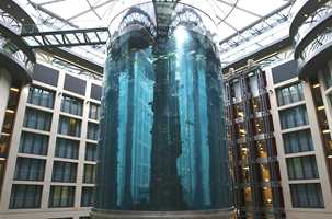 Akvariet er 25 meter høyt og kan ses fra mange av hotellets rom.