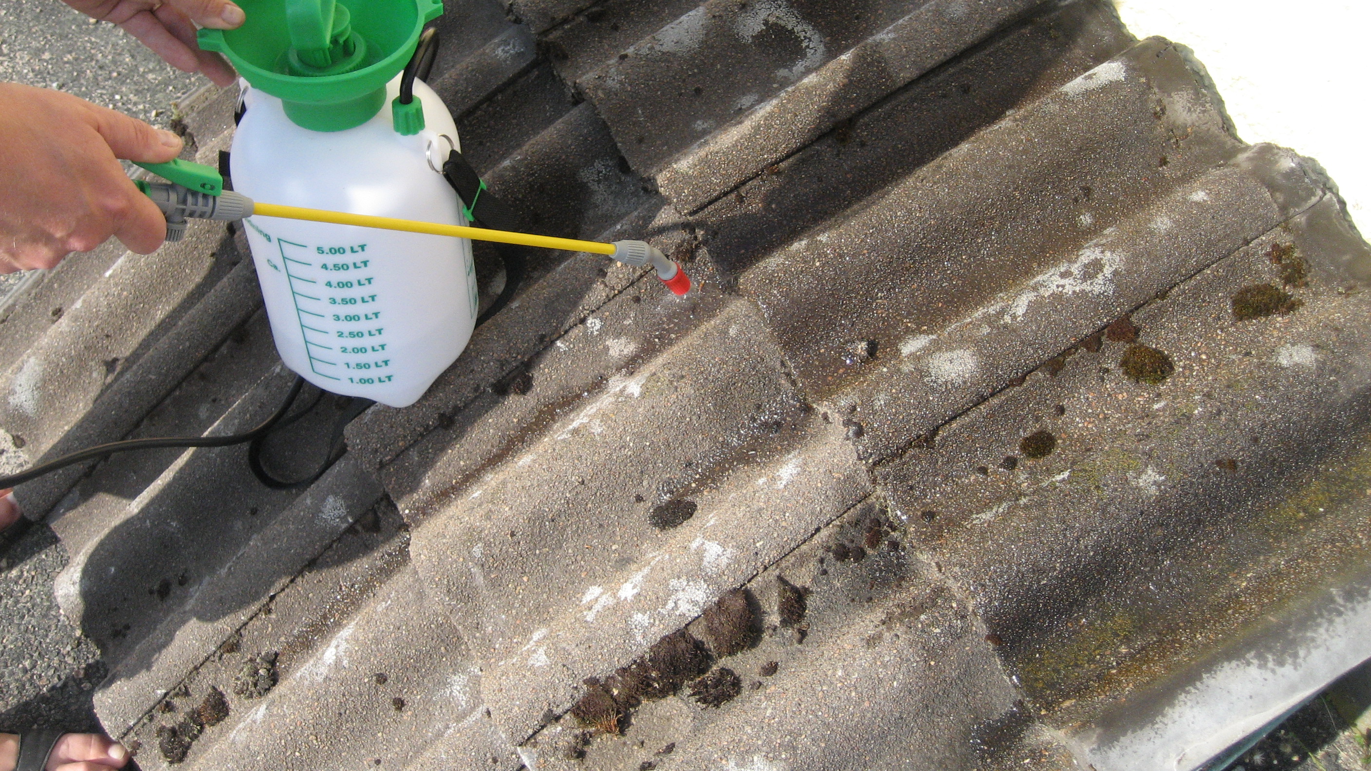 Alger og mose må fjernes fra taksteinene