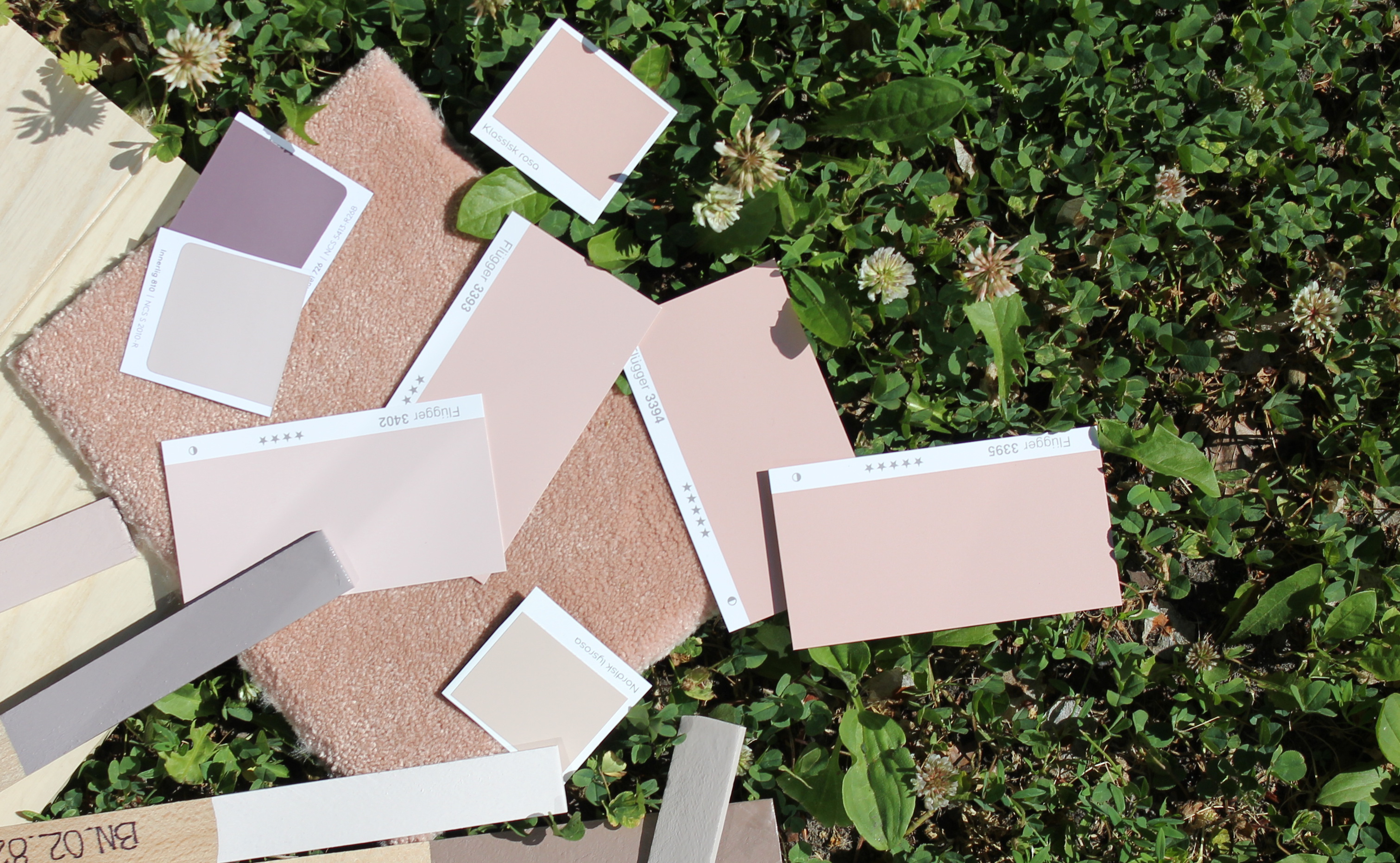 Rosa på vei til de tusen hjem