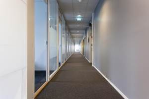 Langstrakte korridorer blir lyse og trivelige når dagslyset strømmer gjennom kontorene og innvendige glassvegger.