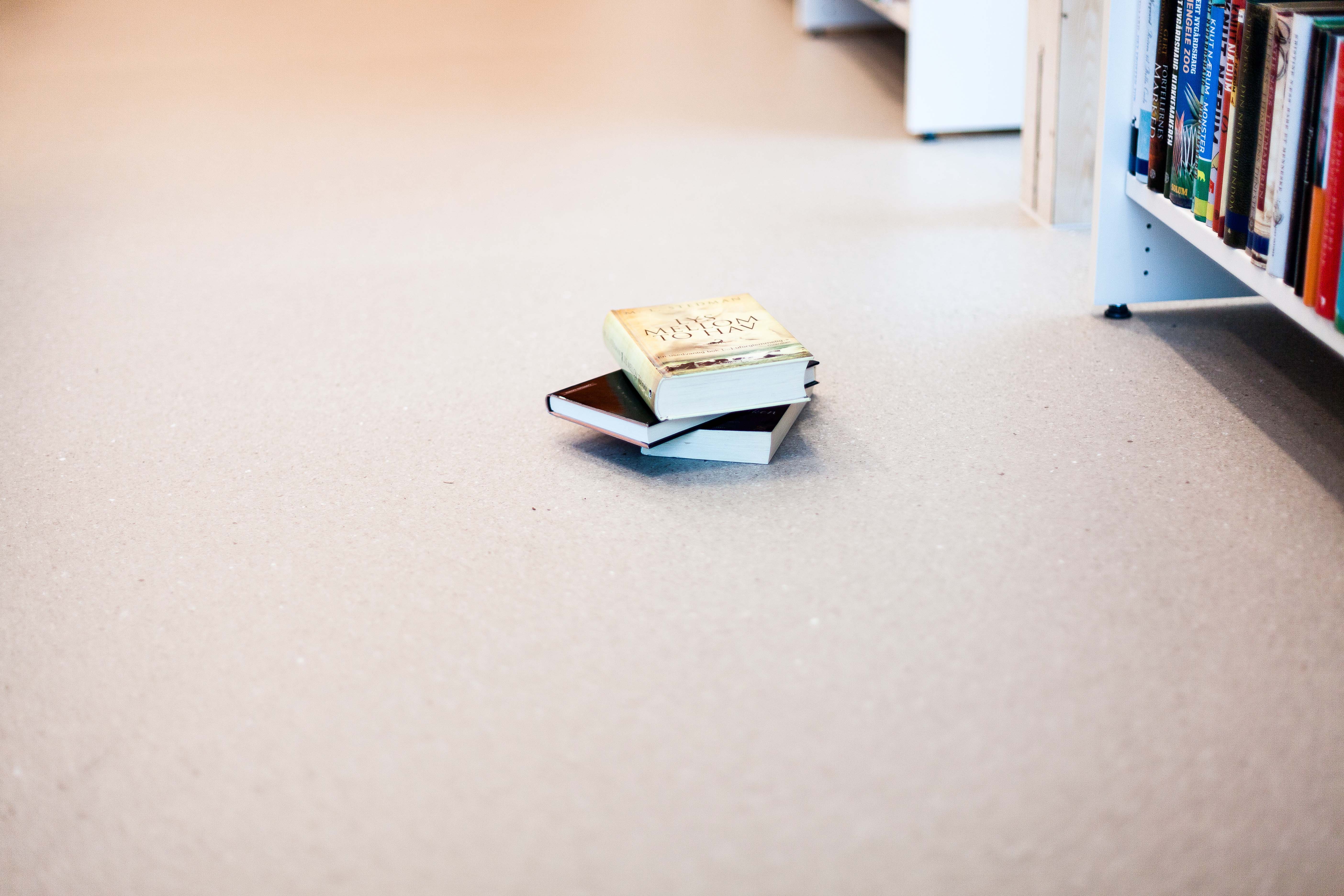 Stille stunder i Seljord