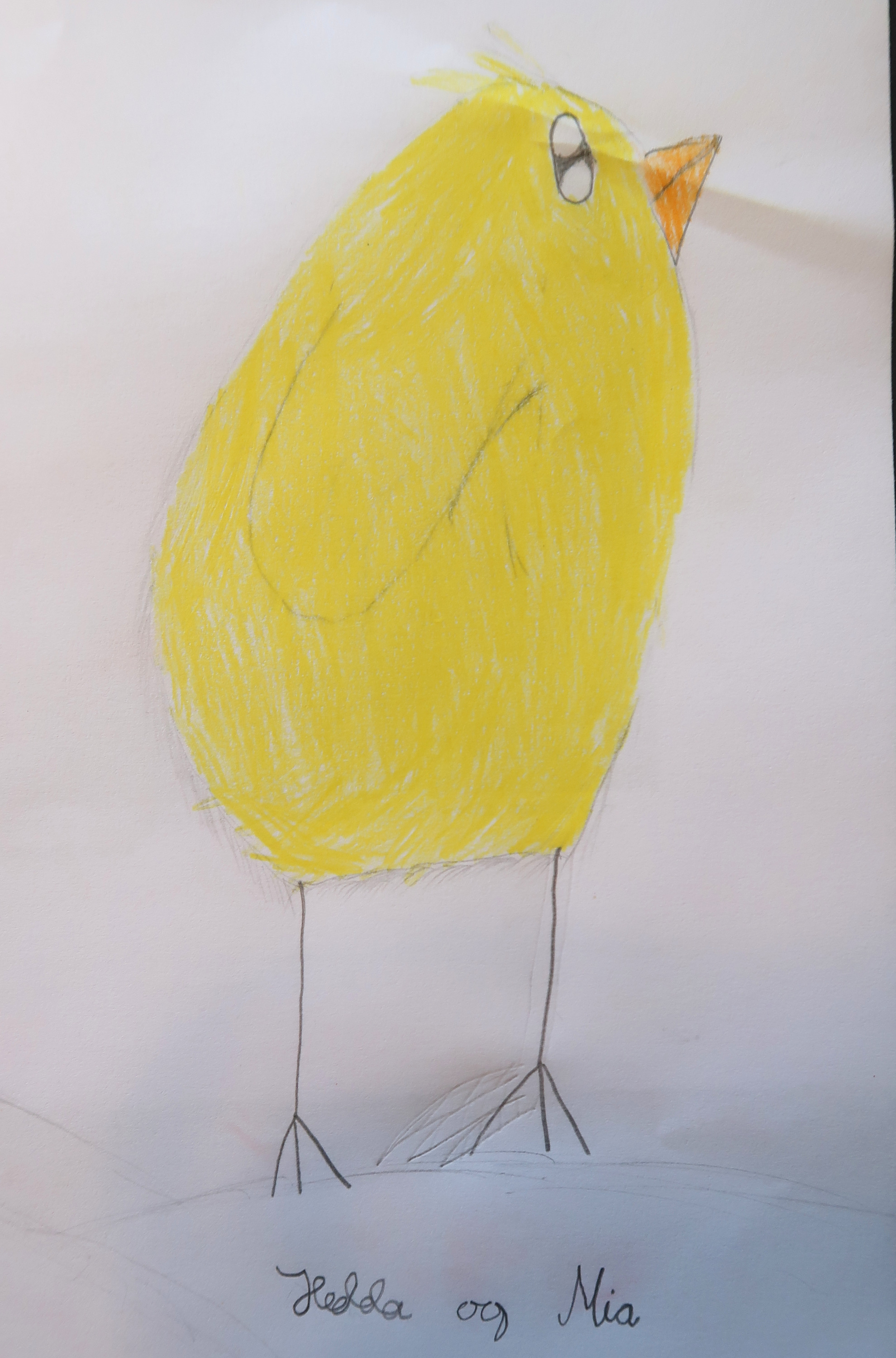 Male påskekyllingen gul