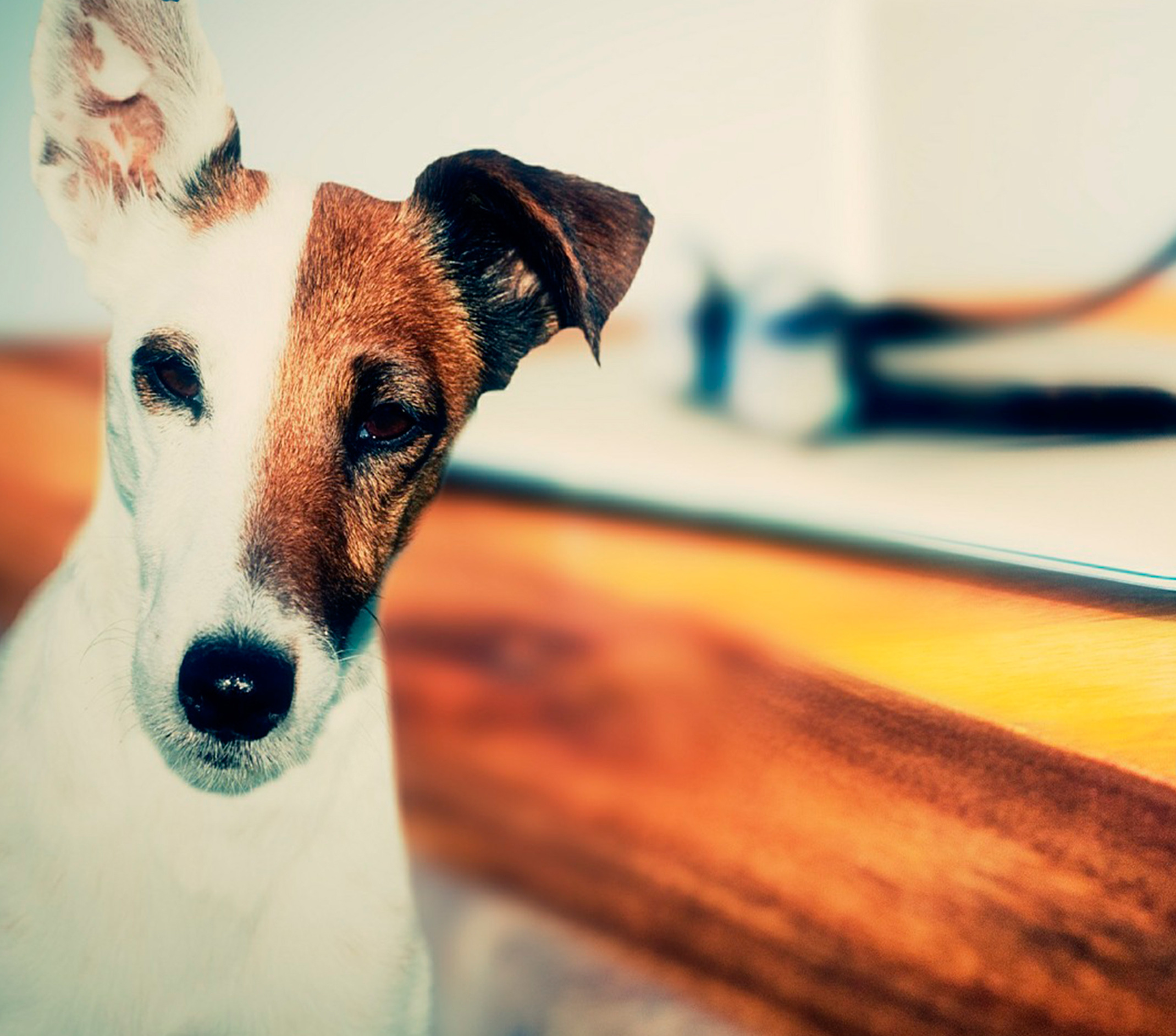 Fjern vond lukt med spray