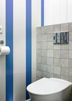 Friske, klarblå striper på toalettet – S 3060-R80B. Det at stripene er malt med ujevne mellomrom, gir en tøff effekt. 