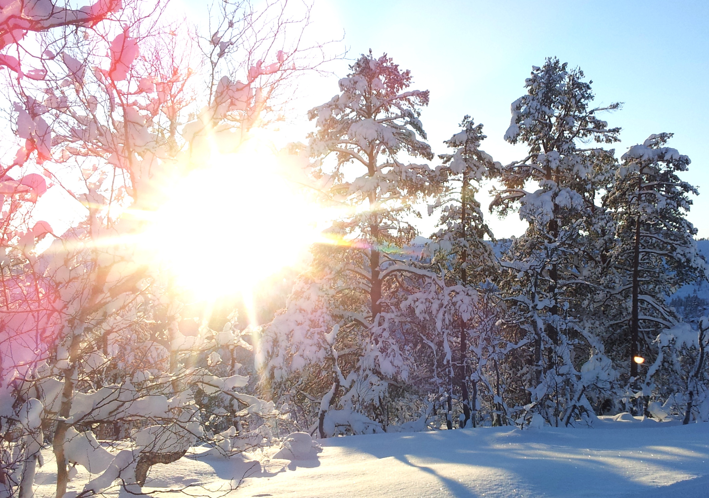 Lyset avgjør fargen