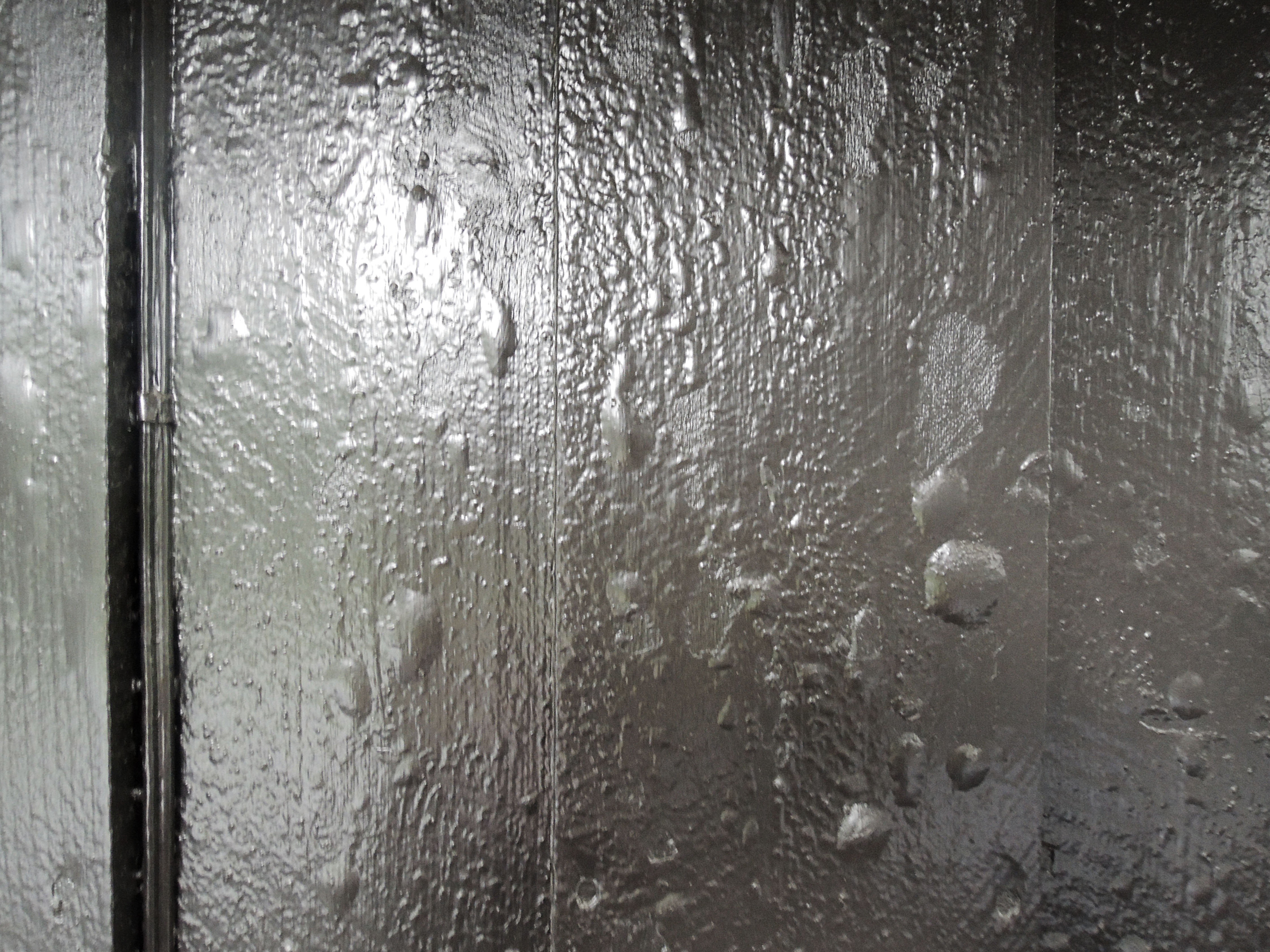 Solblærer på sort hus