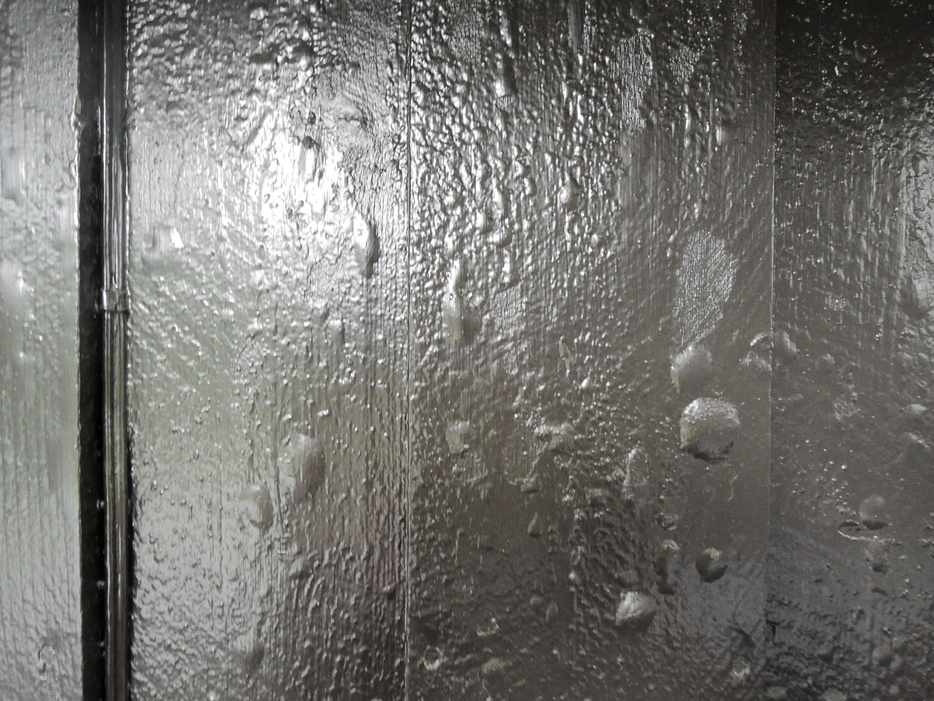 solblærer, mørk husvegg