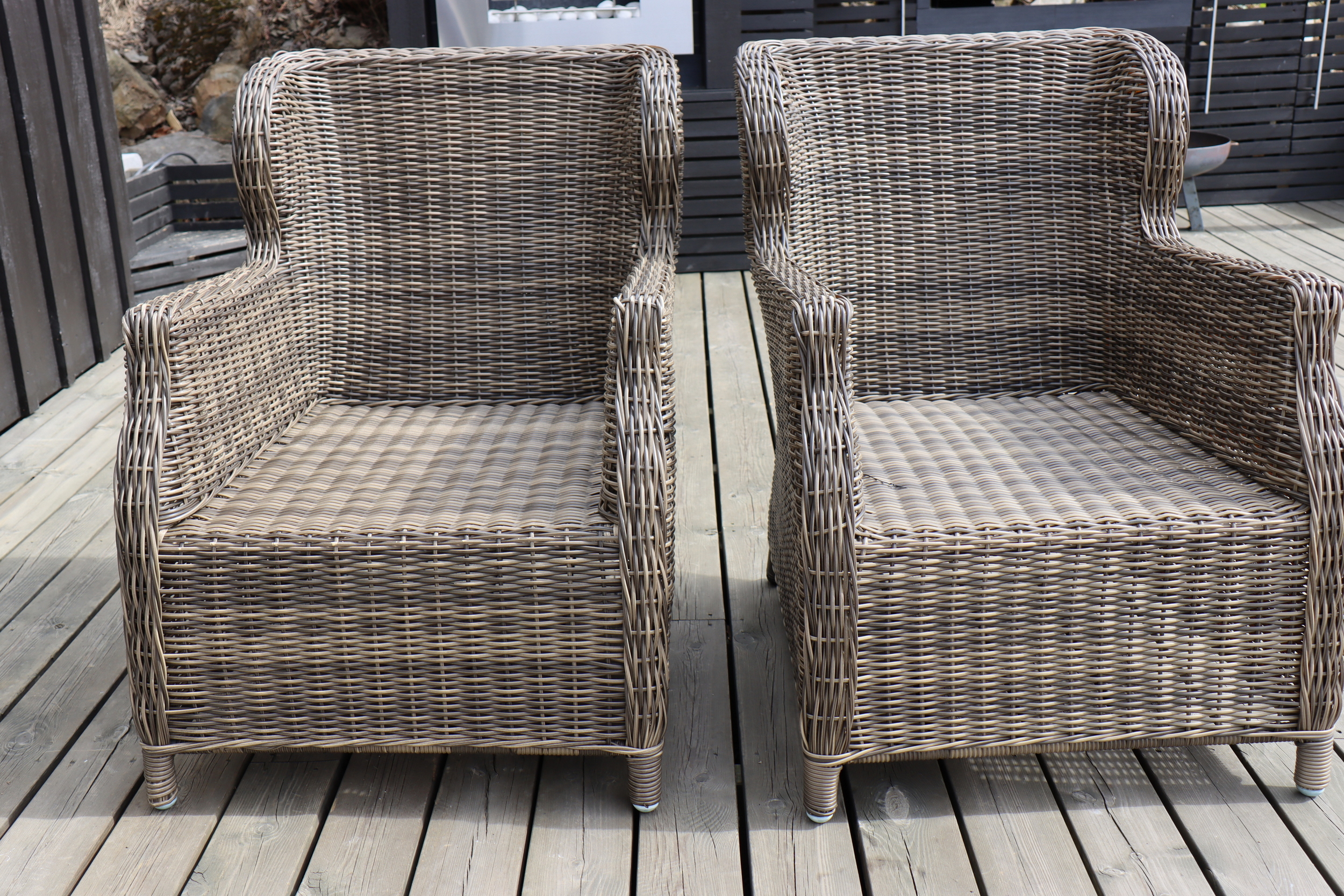 Vaske kunstrotting? − Les dette først!