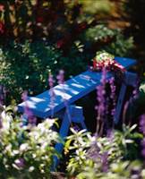 EN BENK I HAGEN: En fargeglad benk som er fin å sitte på midt i alle blomstene.