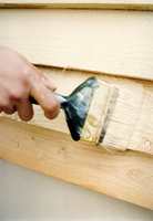 Bruk spart maling til å flekke og utbedre skader.