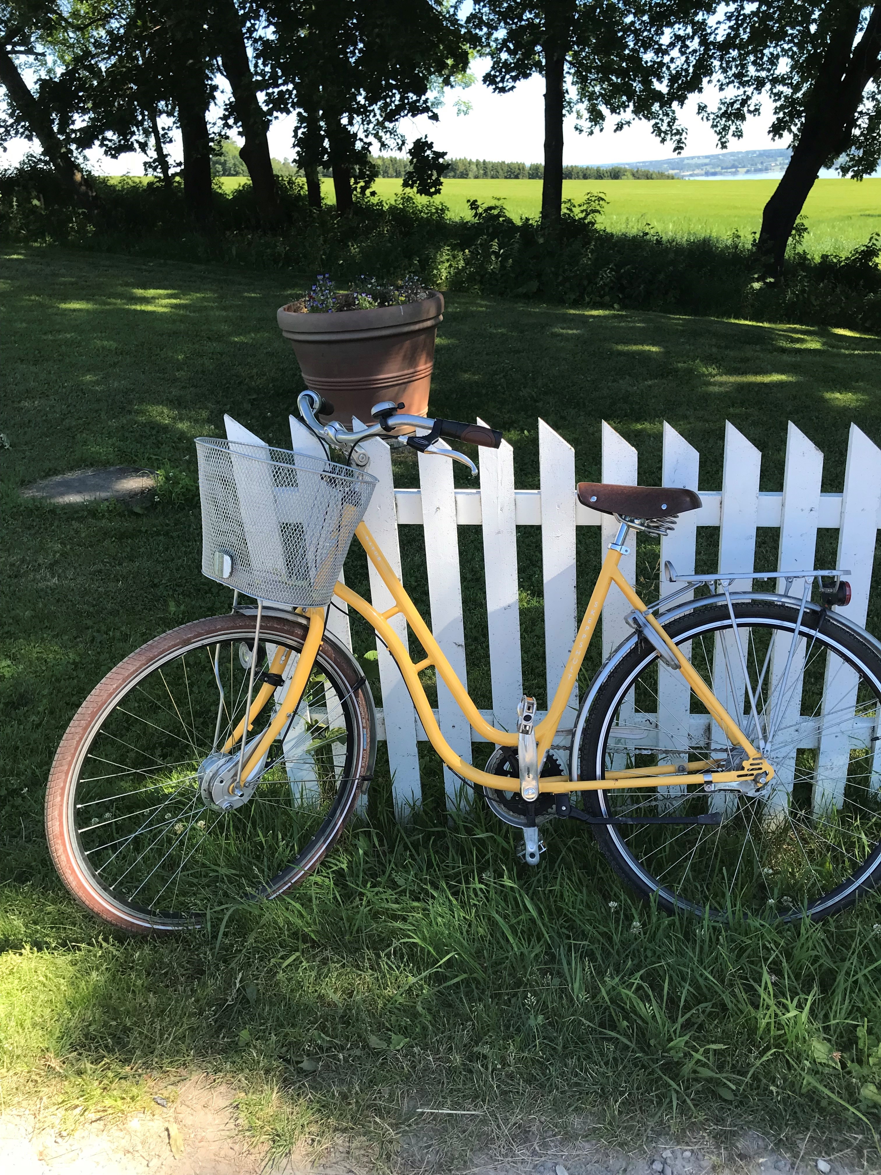 hvitt gjerde gul sykkel