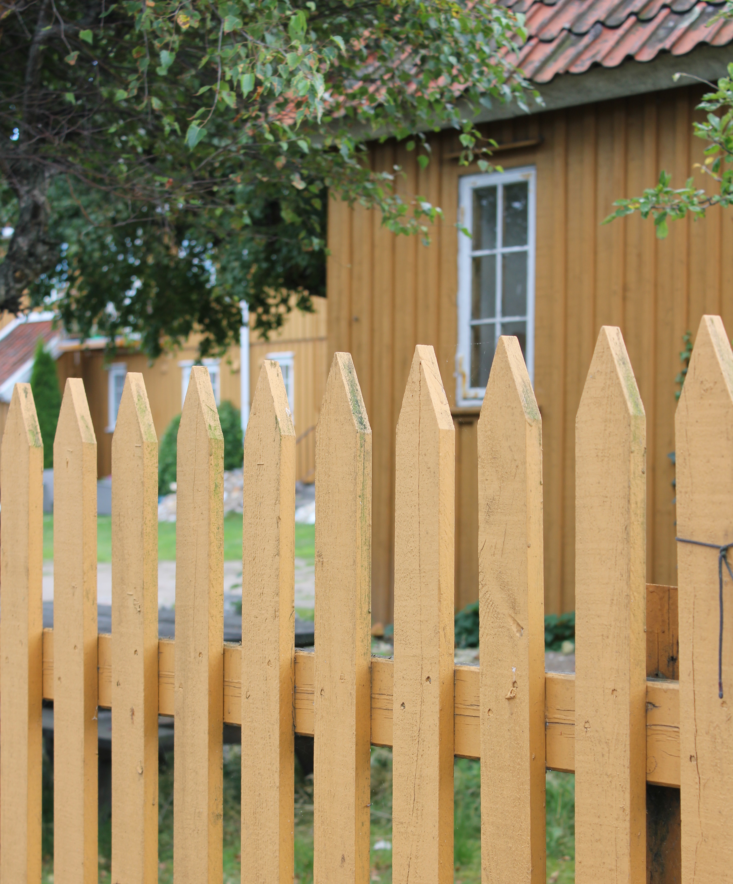 hus og gjerde samme farge