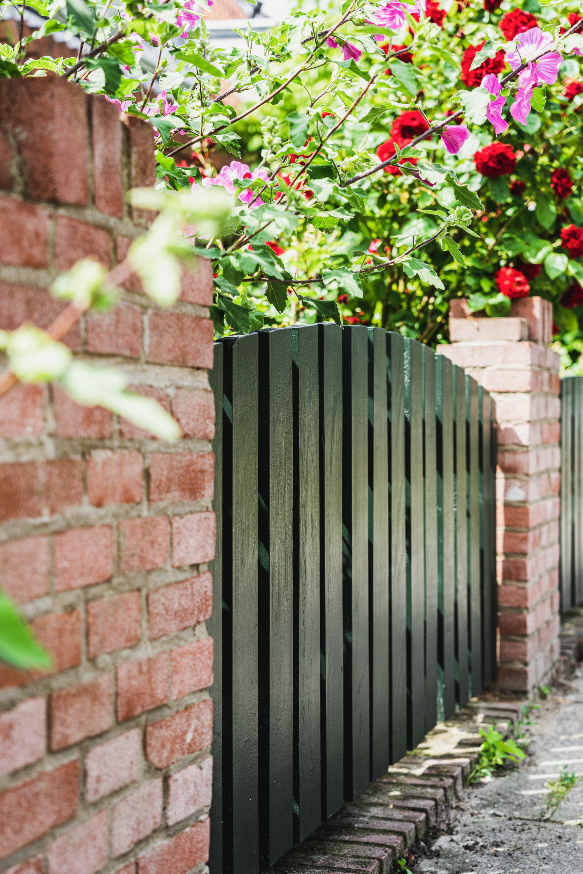grønt stakitt mur