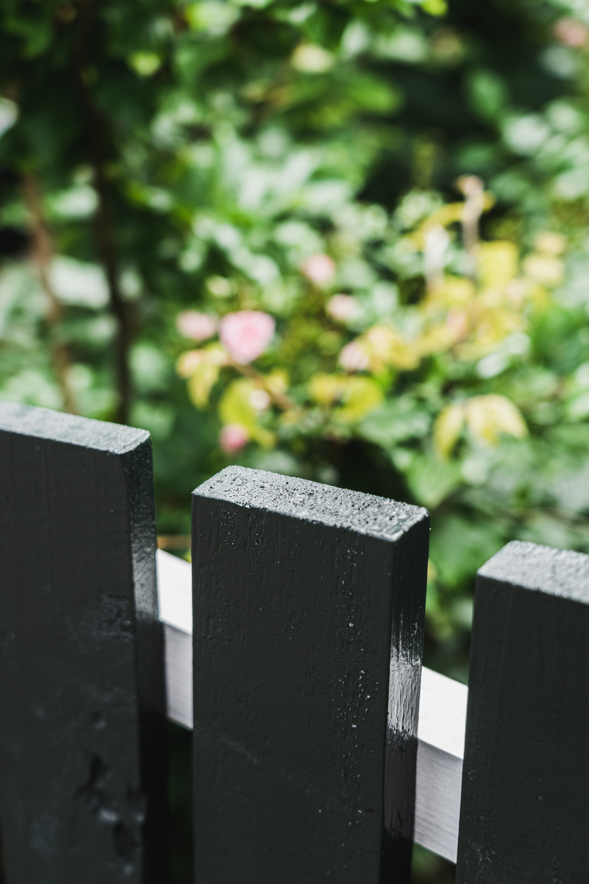 svart gjerde grønt bak