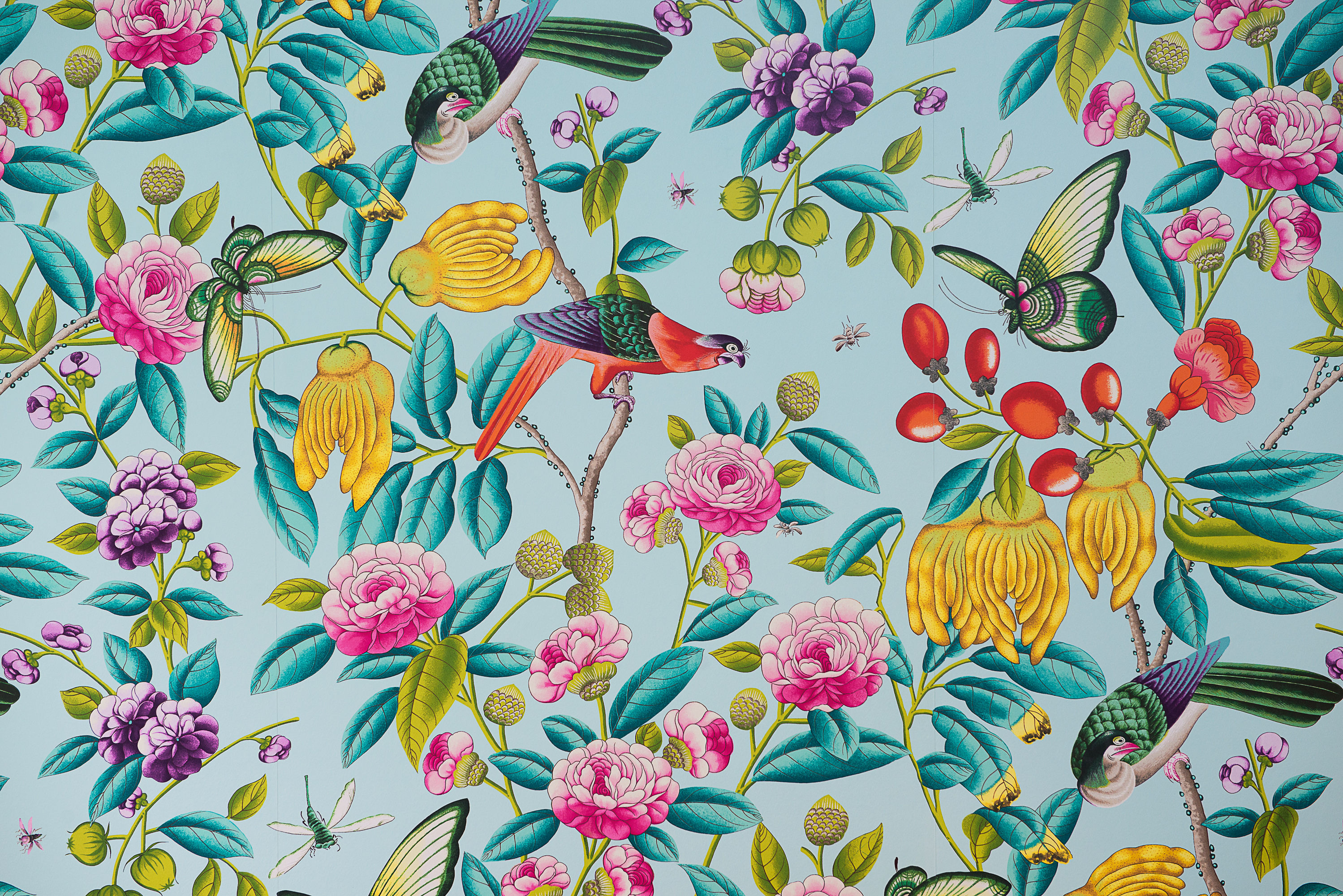 tapet, farger, fargefavoritter