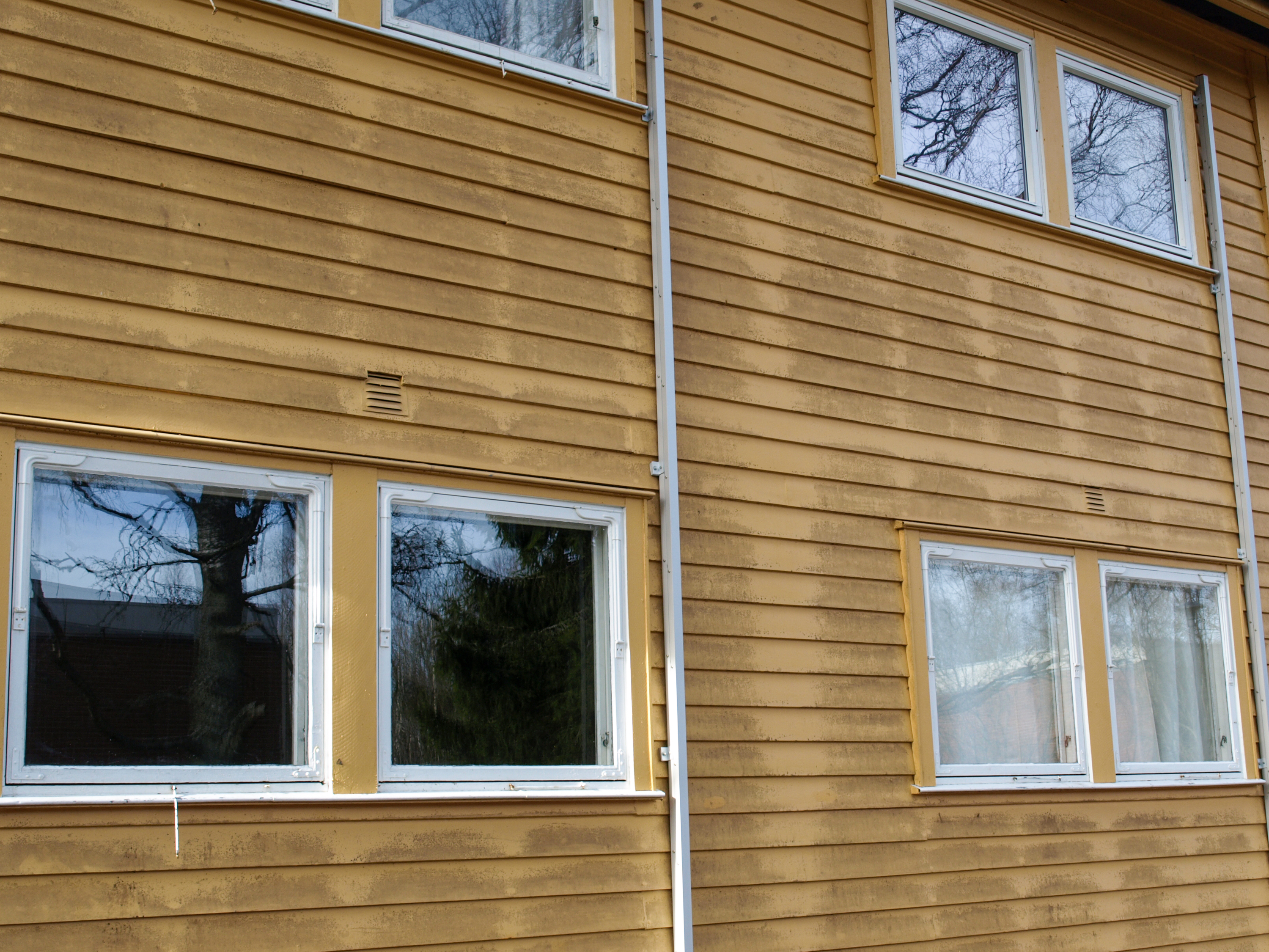 Svertesopp et mer vanlig problem