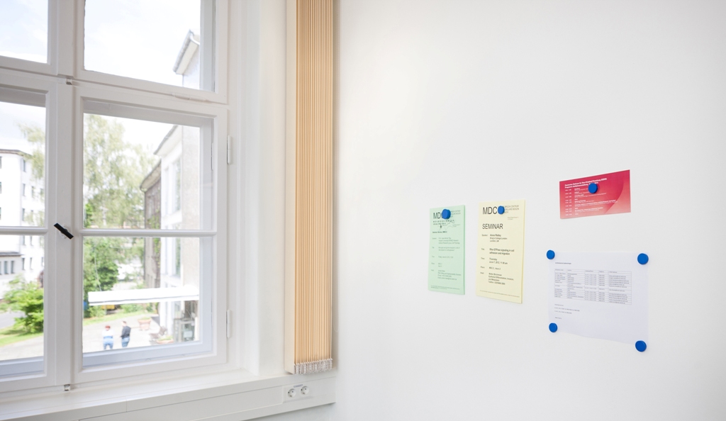 Tapet med magnetisk egenskap 