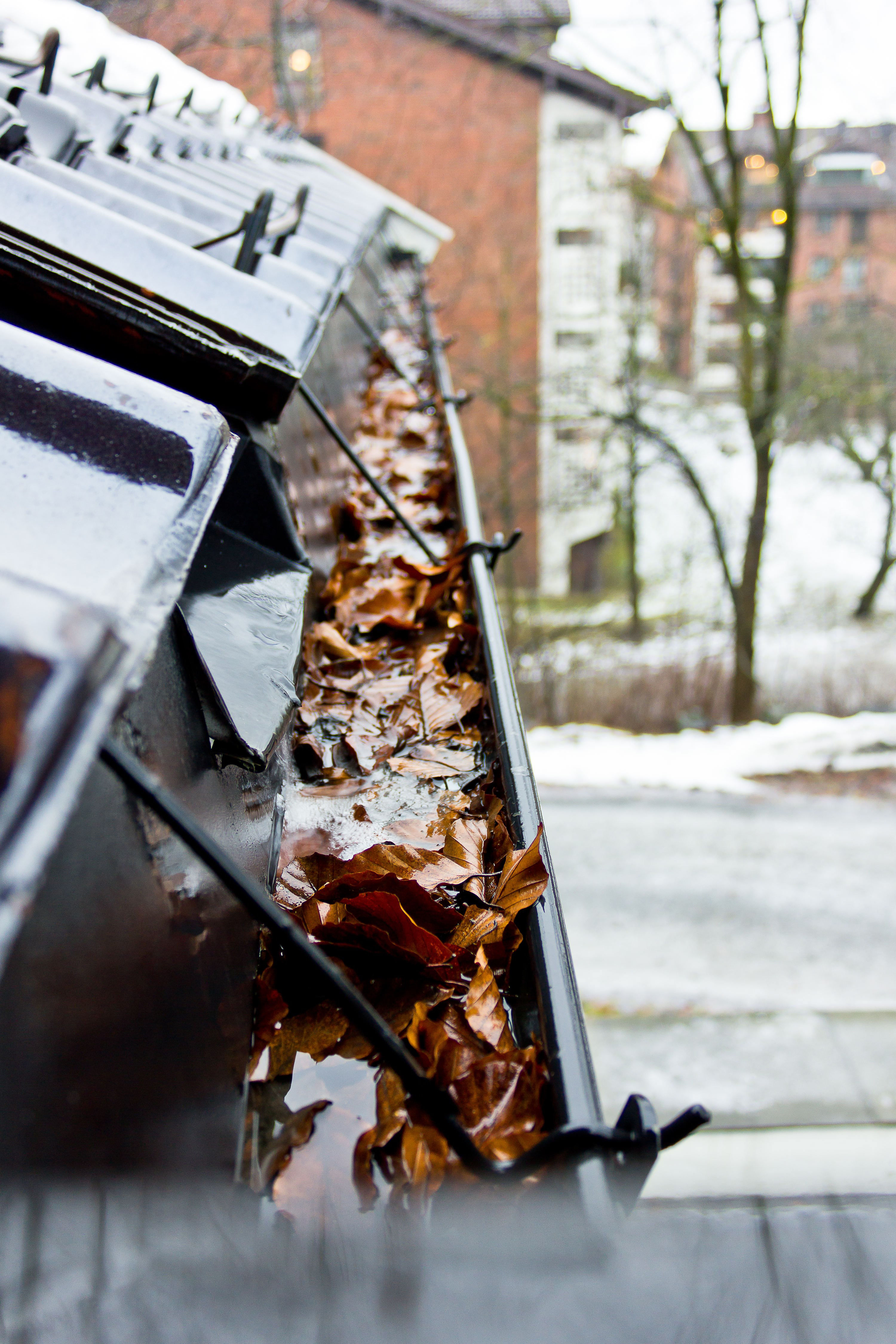 Når takrennen er full av løv