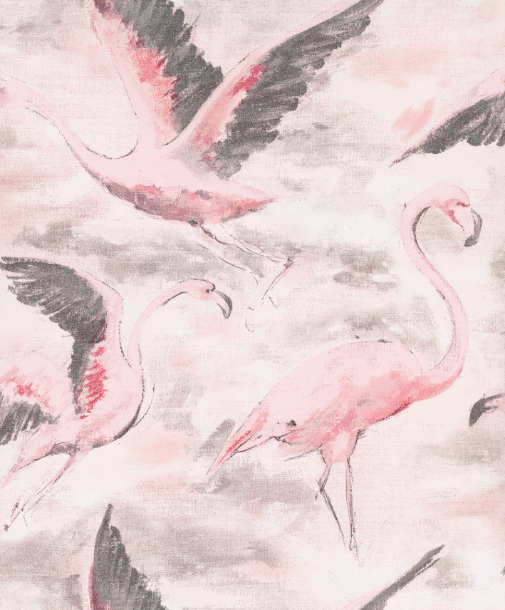 Vakre fugler fra nederlandske Vatos.