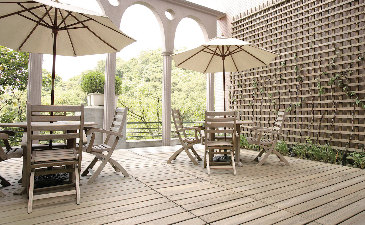 Dyrker du sopp og alger på terrassen?