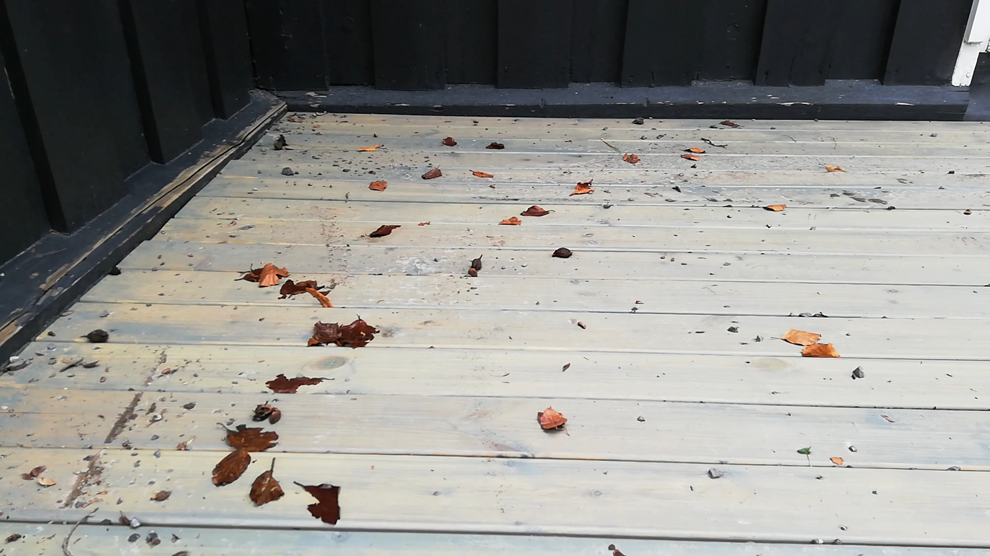 fjern skitt og møkk 