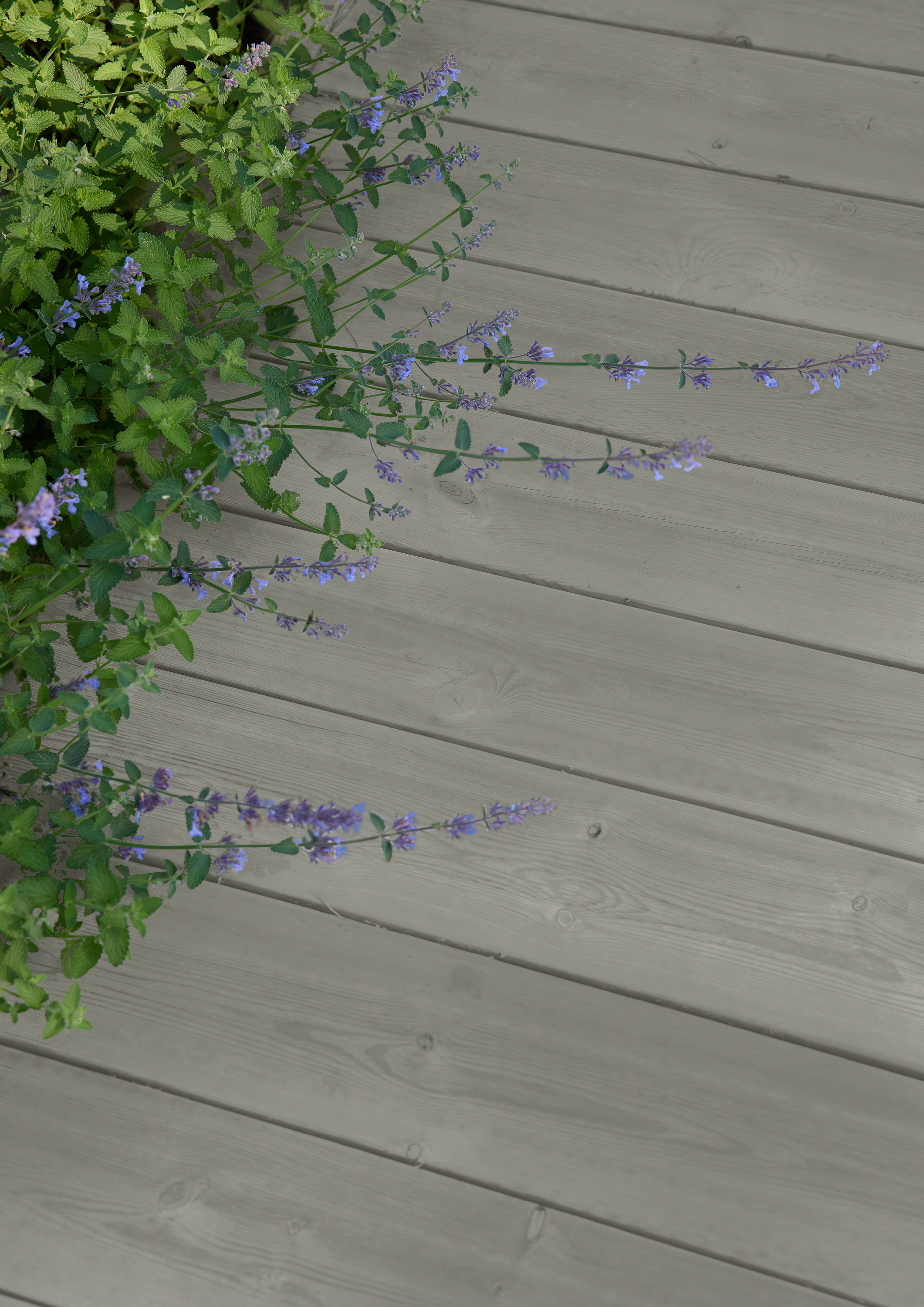 terrassegulv med blomster 