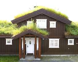 En stadig forbedret standard forandrer ikke nødvendigvis på gamle norske tradisjoner - som gress på taket.