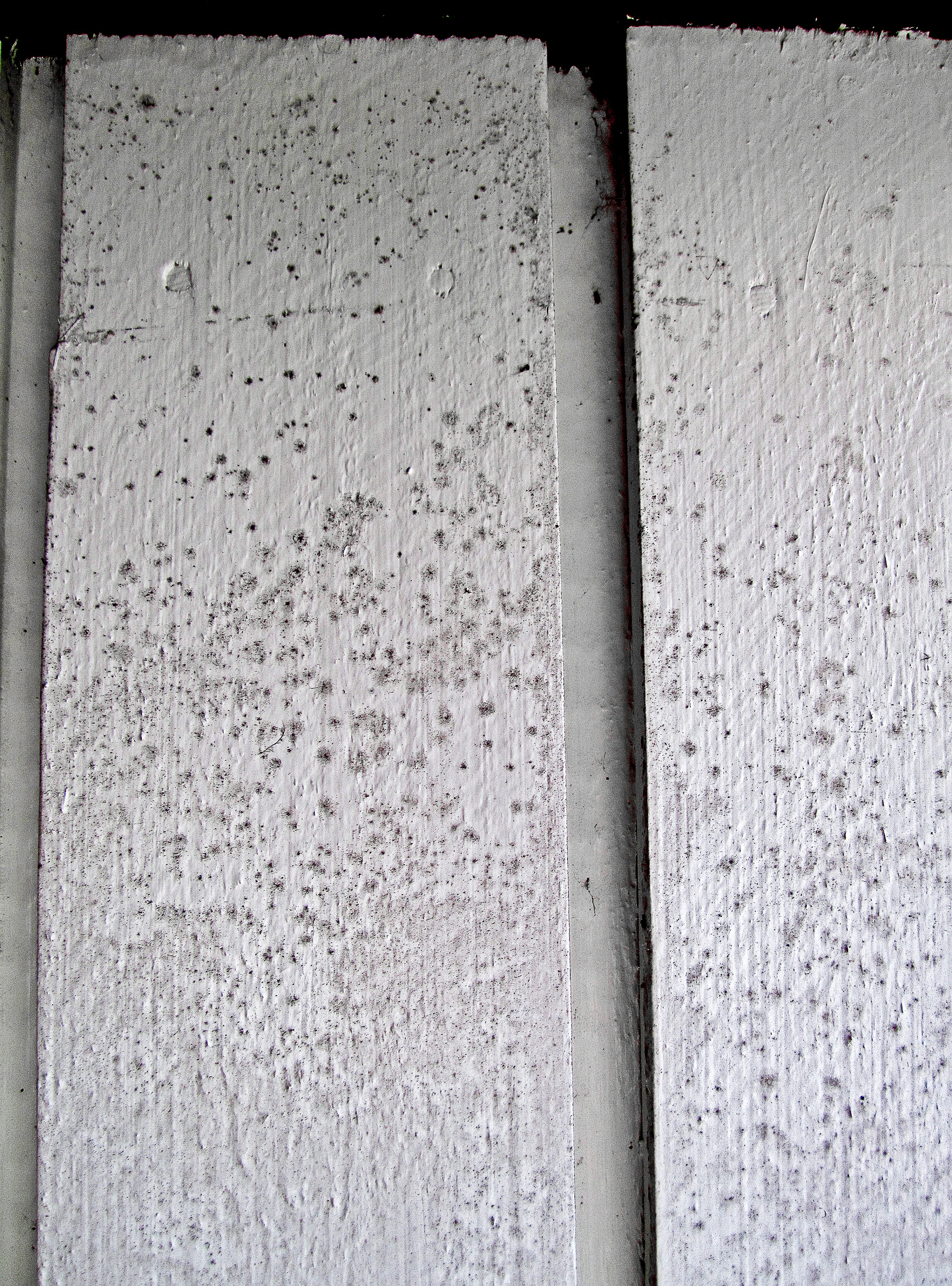 STYGT: Eksos, sur nedbør, pollen og støv som setter seg på fasaden, binder fukt til kledningen. Dette gir grobunn for alger og svertesopp, som svekker og på sikt ødelegger overflaten på maling og beis. Dessuten ser huset stygt og slitt ut.