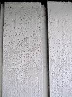 <b>STYGT: </b>Eksos, sur nedbør, pollen og støv som setter seg på fasaden, binder fukt til kledningen. Dette gir grobunn for alger og svertesopp, som svekker og på sikt ødelegger overflaten på maling og beis. Dessuten ser huset stygt og slitt ut.