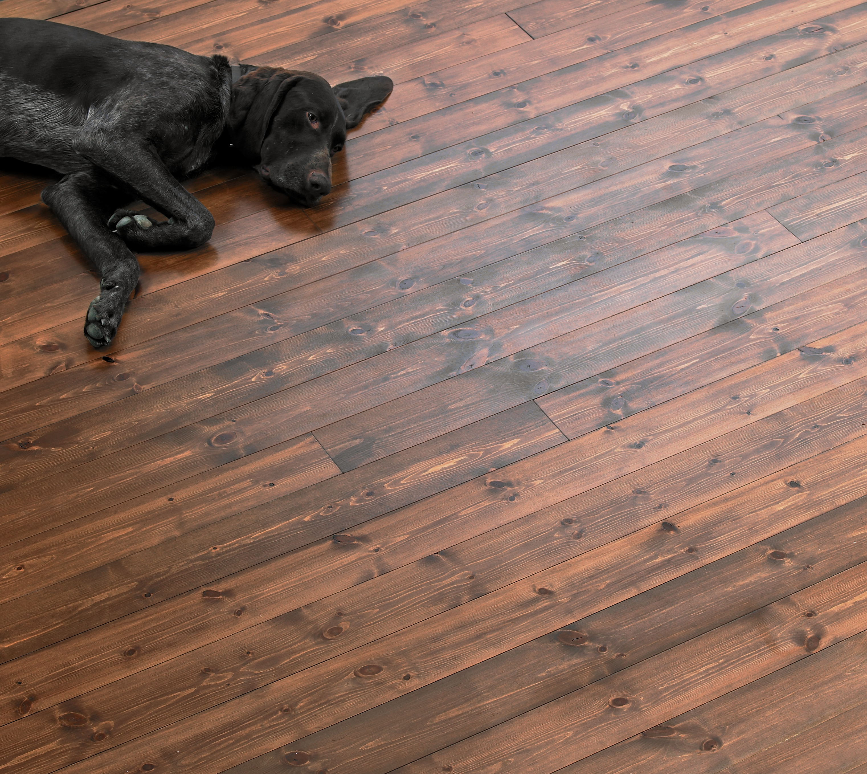 Mørk skjøt på beiset gulv