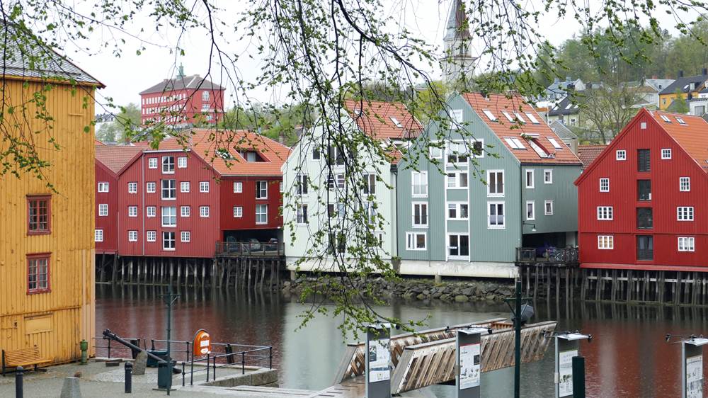 Trondheim – Byen med en fargerik natur