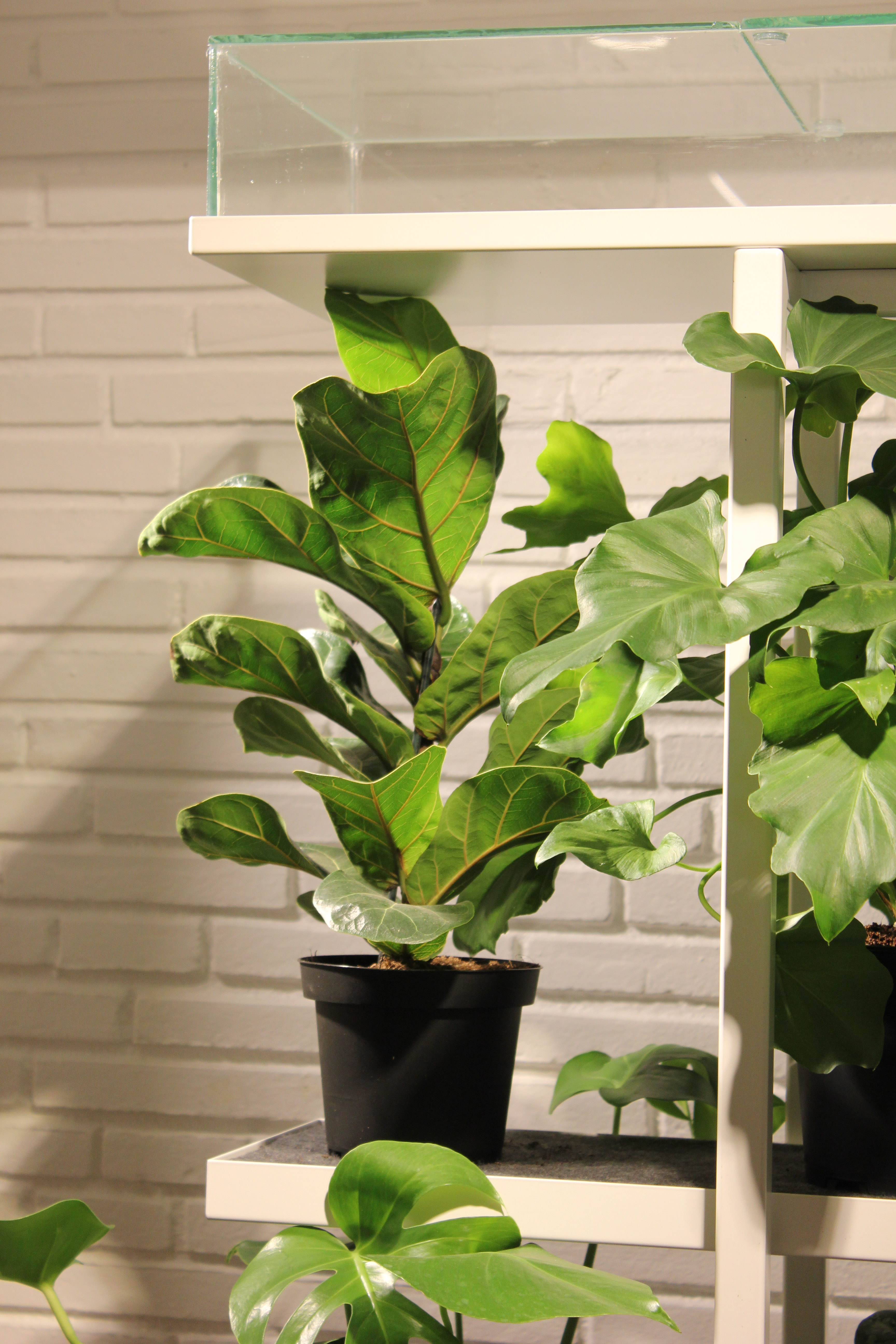 Hos Vitra hadde de løsningen for alle som ønsker seg plante på kontoret, men glemmer å vanne den. Hyllen er fra Tropisk Design.