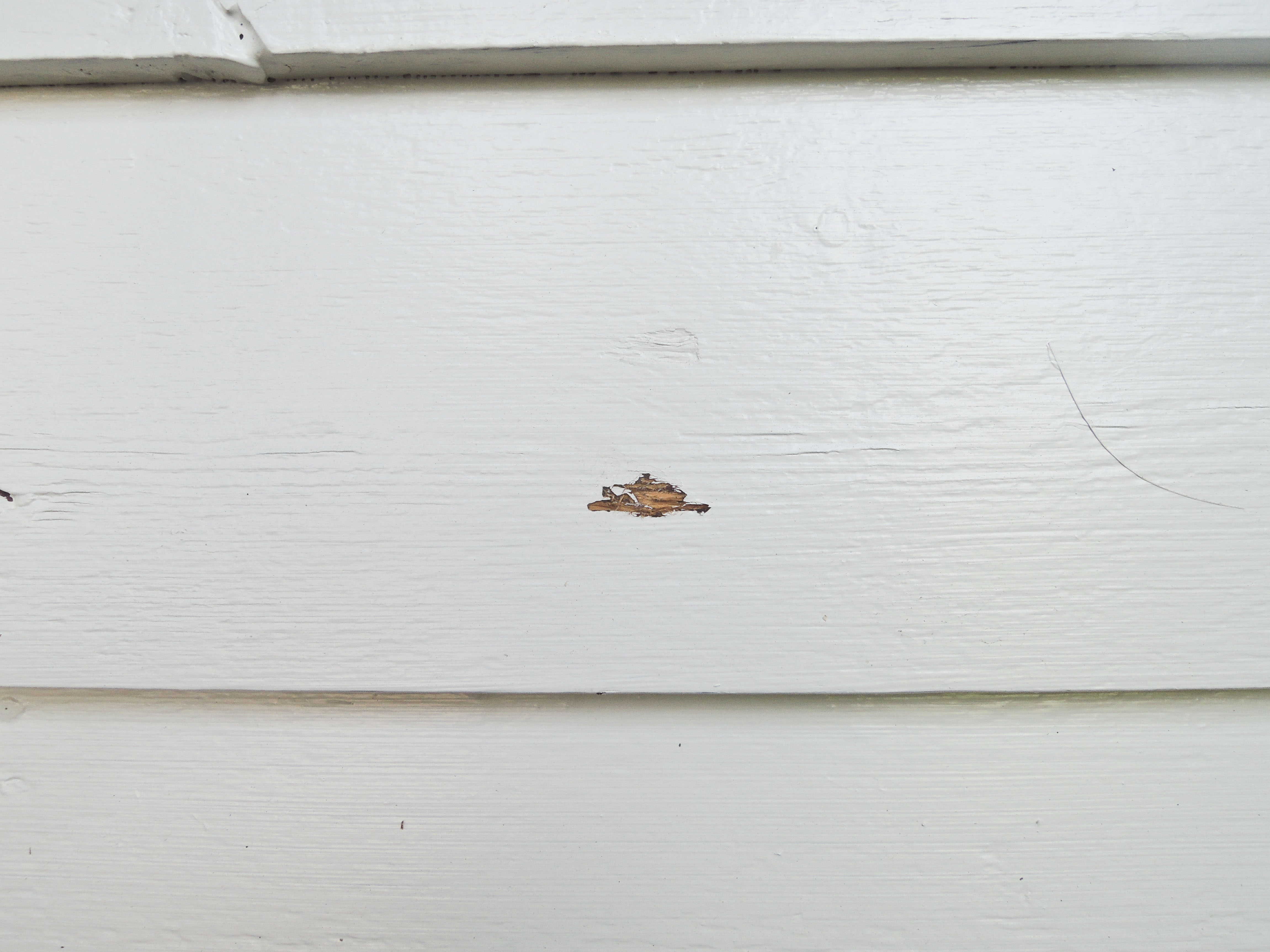 mekanisk skade i malingfilm