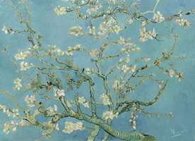 <b>MANDELTRE:</b> Van Goghs fasinasjon for japansk postkort-kunst gjenspeiler seg i mange av hans bilder. Slik som motivet av blomstrende mandeltre.