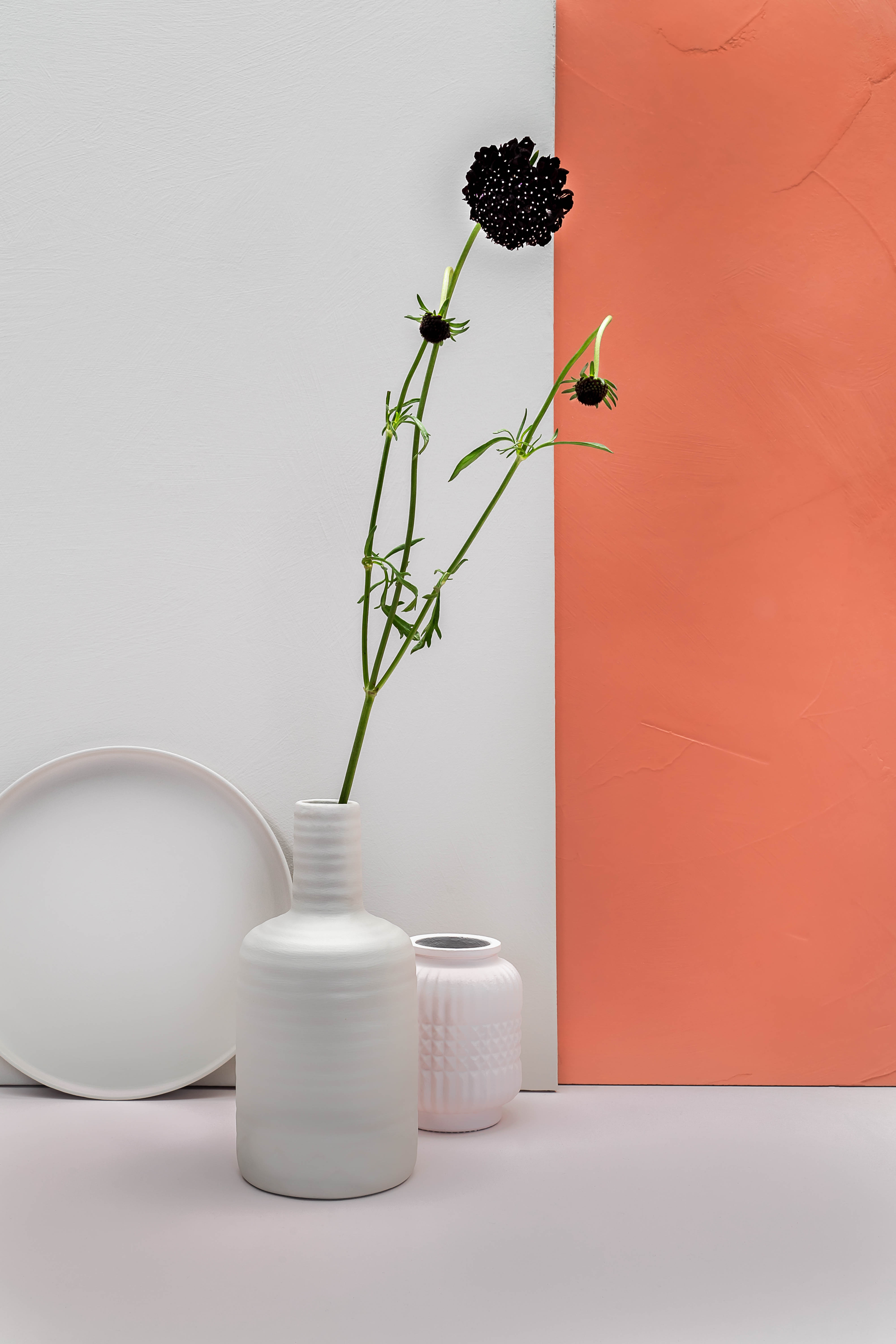 Calm Pure & Original