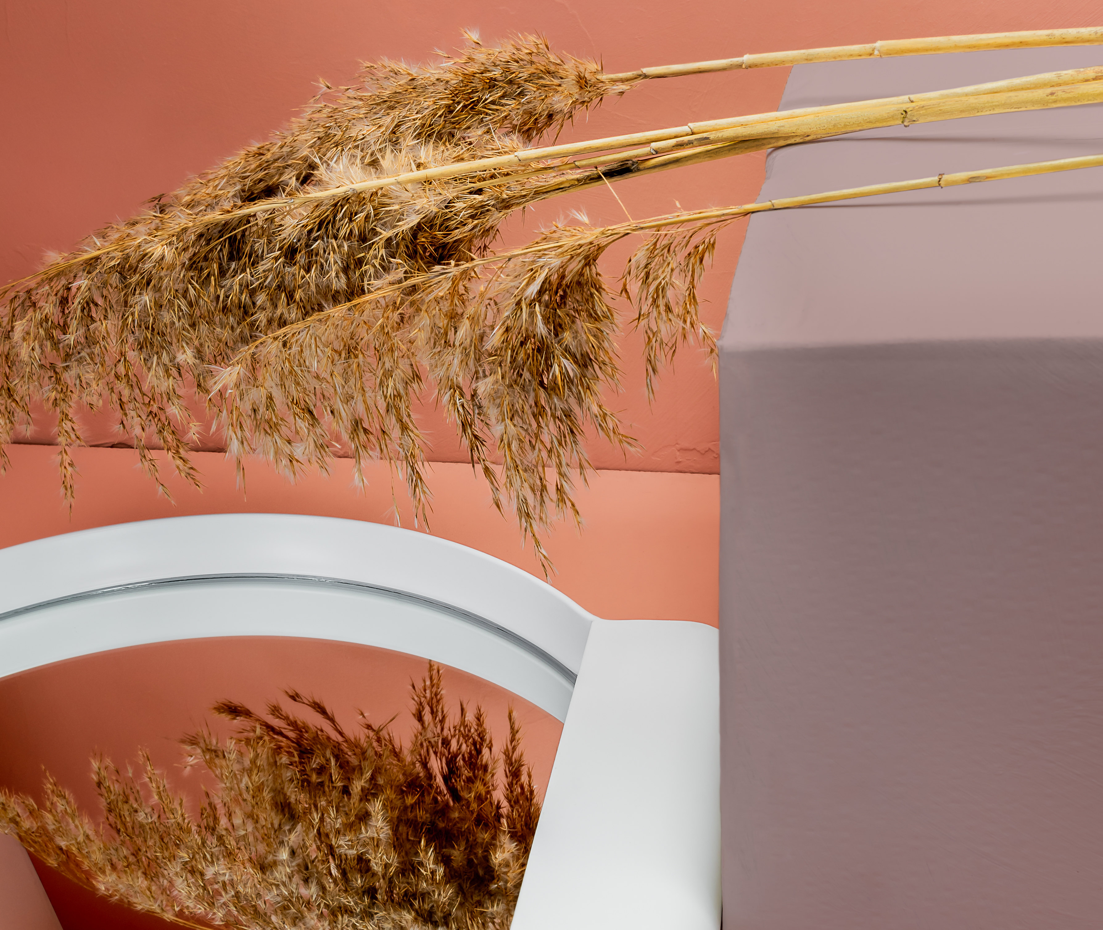 Dusty Lavender Pure & Original