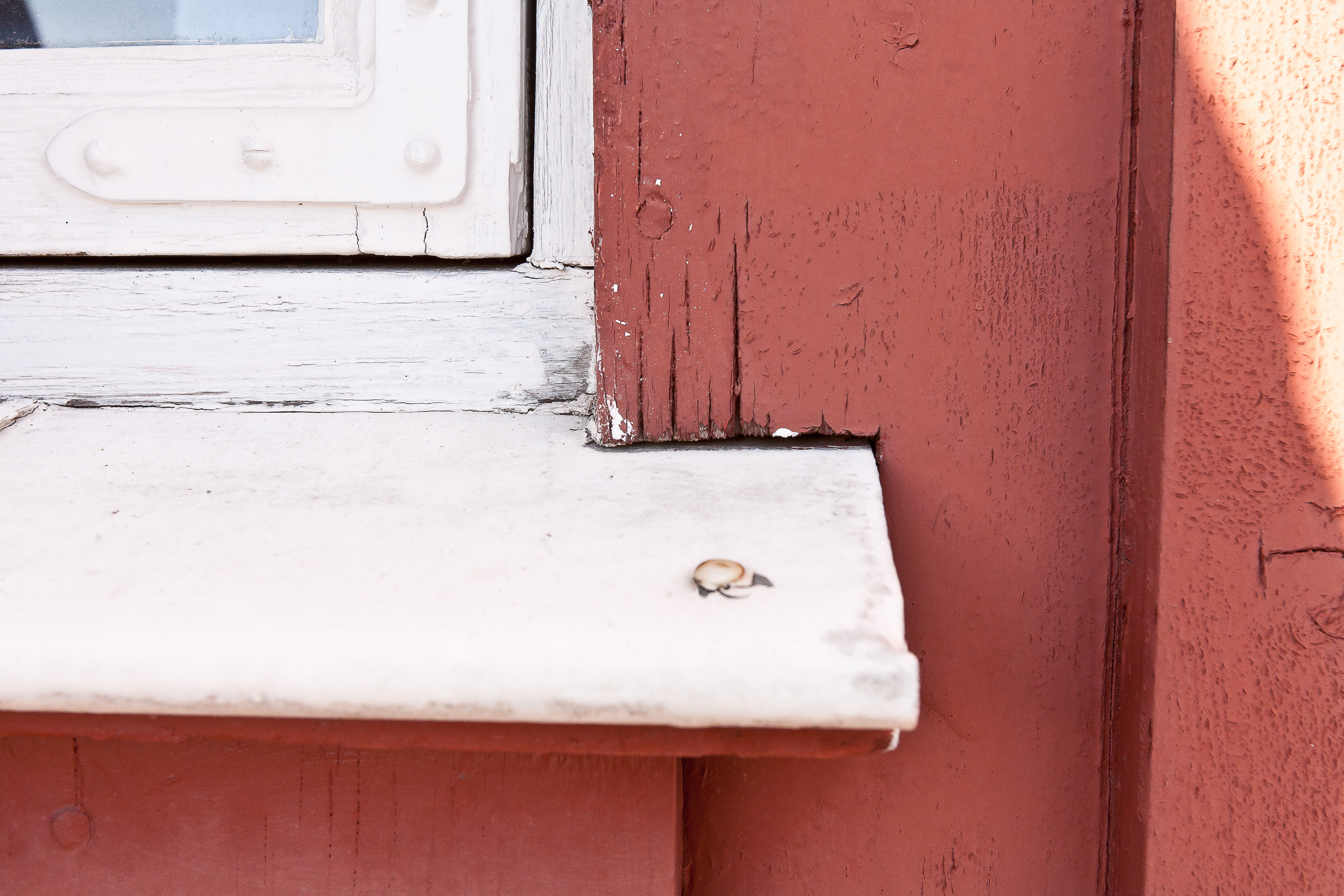 5 utsatte detaljer du må sjekke