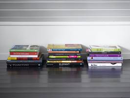 Bra plassutnyttelse – bøker i pene stabler inntil den svært lave kneveggen, på lekkert, blankmalt gulv. 