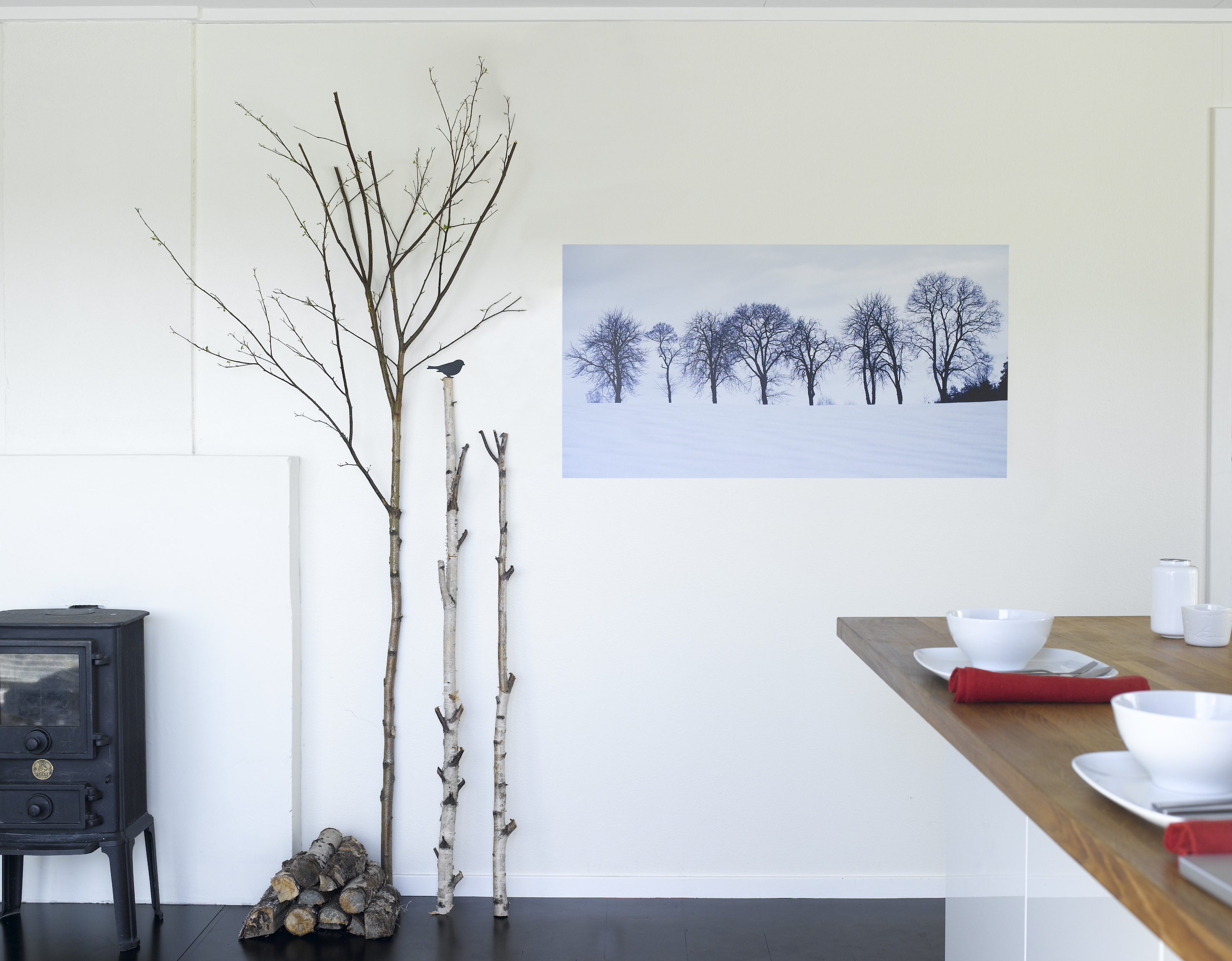 Den grønne veggen er borte, og bjerkestammer står stramt mot den nå hvite bakgrunnen, både in natura og på fotografiet. 