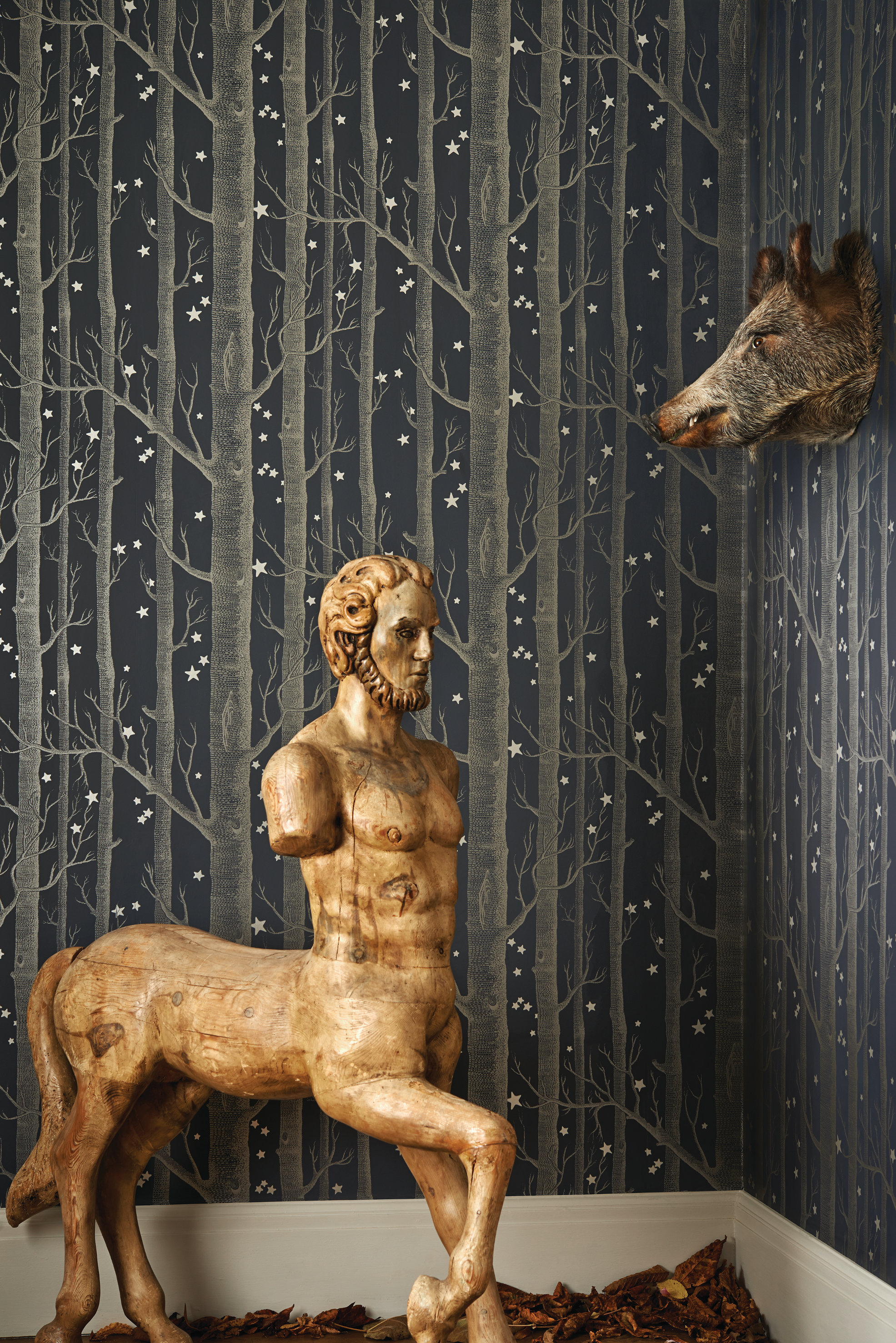 En skog i forandring